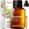 Gya Labs Lavender Essential Oil - 1.02 Fl Oz - for Hair, Skin, Diffuser, Aromatherapy & DIY Candle Making Scent view 1