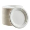 EcoQuality 10 Inch Disposable Plates 100% Compostable - Natural Sugarcane Biodegradable Compostable Bagasse Bamboo Environmentally Friendly - Plates for Dessert, Birthdays, Microwavable (200) view 1