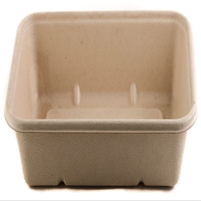 34oz Compostable Eco Friendly Container Trays - Rectangular Oblong Tree Free Sugarcane Bagasse Meal Prep Bento Boxes Take Out Catering Microwavable Deep Container by EcoQuality (250)