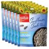 Tadim Mediterranean Black Sunflower Seeds Lightly Salted, 6 Pack (5.25 Ounce Each), Keto Friendly, NON GMO, Vegan view 1