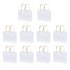 10Pack Clear Gift Bags with Handles Bulk Clear Bouquet Bags PVC Gift Bags Clear Tote Bags Party Favors Bags for Wedding Birthdays Bridal Showers Festival Treat Bag White Frosted Bags Retail Bags view 2
