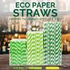 [1000 Count] 7.75 Inch Green/White Striped Paper Drinking Straws Bulk, 100% Biodegradable view 4