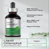 Horbach Liquid Chlorophyll Drops | 2 oz | Vegan, Non-GMO, and Gluten Free Formula | Natural Peppermint Flavor view 4