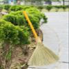 TTS For Home Handmade Whisk Sweeping Orange Broom - Vietnamese Straw Soft Broom - Brooms Decorative 12.2" Width, 28.35" Length view 4
