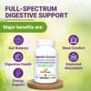 Digestive Enzymes with Ox Bile and Betaine HCl (100 Caps) Ox Bile Supplements for No Gallbladder with Papain & Pepsin A | Pancrease Cleanse & Detox - Pancreatin Digestion Enzymes for Women & Men view 3