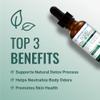 Approved Science Liquid Chlorophyll - 2 fl. Oz. - 60 mg ChloroAbsorb - Mulberry Leaf Extract - Energize The Body - Digestive and Immune Support - Natural Deodorant and Detox - Vegan - Made in The USA view 3