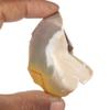 197.05 Ct. Natural Large Crystal Reiki Chakra White & Yellow Mookaite Jasper Stone for Tumbled, Meditation & Reiki Crystal Healing FY-509 view 2