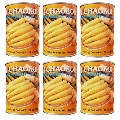Chaokoh Bamboo Shoot Tip Whole in Water (6 Pack, Total of 120oz)
