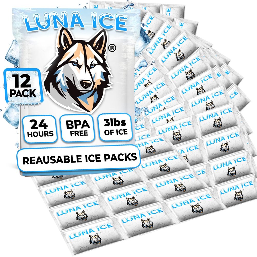Dry Ice Packs for Shipping - Long Lasting ice Packs - 24+ Hour Freeze Power - BPA Free - 12 Pack Bulk 3 lb  Hielo Seco - Reusable Gel Bricks for Food