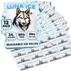 Dry Ice Packs for Shipping - Long Lasting ice Packs - 24+ Hour Freeze Power - BPA Free - 12 Pack Bulk 3 lb  Hielo Seco - Reusable Gel Bricks for Food view 1