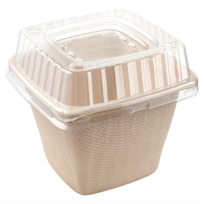 32oz Eco Friendly Bowls with Lids Disposable Compostable Container - Square Bowl Tree Free Sugarcane Bagasse Meal Prep Bento Boxes Take Out Catering Microwavable Deep Container by EcoQuality (300)