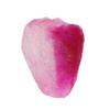 16.25 Ct. Ruby Gem Certified Rough Raw Healing Crystal Stone Red Color Ruby Crystal Wicca & Reiki Crystal Healing GA-176 view 2