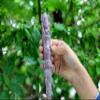 Jet New Lepidolite Ganeshji Hand Carved Healing Wand 4.5" Rare Stick Chakra Balancing Energy Reiki Meditation view 2