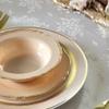 " OCCASIONS " 240 Plates Pack,(120 Guests) Heavyweight Premium Disposable Plastic Plates Set -120 x 10.25'' Dinner + 120 x 7.5'' Salad/Dessert (Rochelle Antique Rose and Gold) view 4