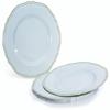 OCCASIONS 120 Plates Pack, Heavyweight Disposable Wedding Party Plastic Plates (9'' Luncheon Plate, Rochelle Blue & Gold) view 1
