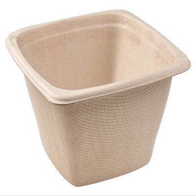 32 oz Eco Friendly Bowls Disposable Compostable Container - Square Bowl Tree Free Sugarcane Bagasse Meal Prep Bento Boxes Take Out Catering Microwavable Deep Container by EcoQuality (300)