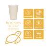100% Compostable Disposable Coffee Cups [16oz 320 Pack] Paper Cups Made from Bamboo, Eco-Friendly, Biodegradable Premium Party Cups, Natural Unbleached by Earth's Natural Alternative view 2