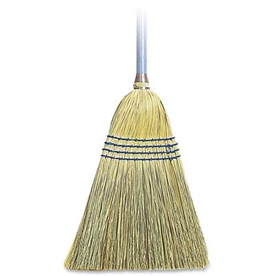 ProtectionPro Light Duty Broom