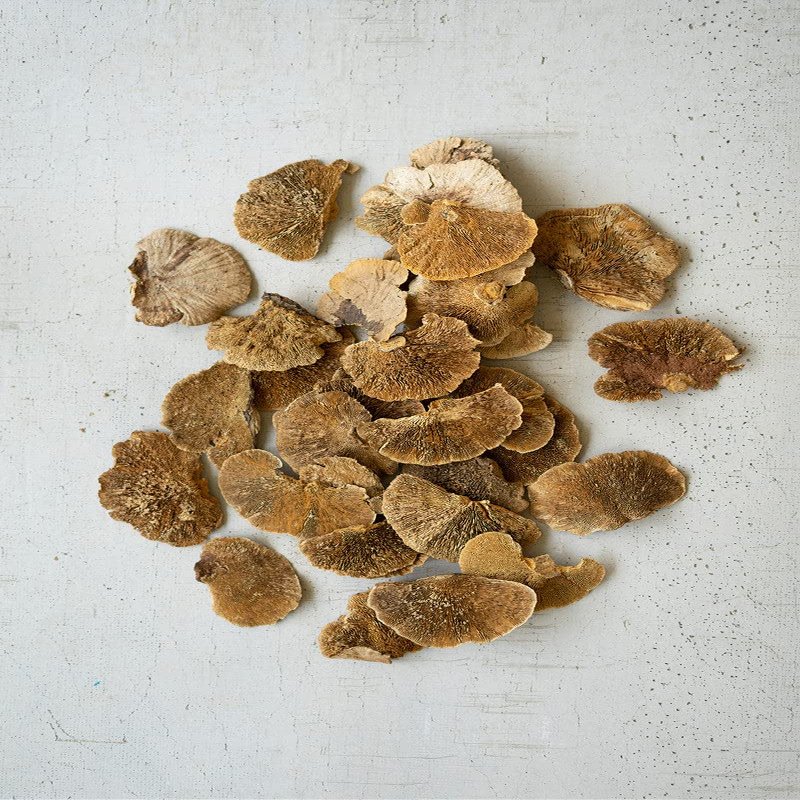 Kalalou NGLB1033 Bag of 48 Dried Sponge Mushrooms, See Image