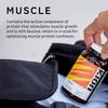 Kion Aminos Essential Amino Acids Capsules | The Building Blocks for Muscle Recovery, Reduced Cravings, Better Cognition, Immunity, and More | 30 Servings view 4