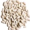 Aiva Cannellini Beans | White Kidney Beans (4 LB) Bulk  Premium Dried Beans for Soups, Sproutable, Salads, and Cooking, Sirtfood. Stews, White Chili. view 3