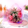 Outus Iridescent Cellophane Film Rainbow Cellophane Wrapping DIY Craft Decorations for Gift Baskets Fairy Butterfly Supply Party Festival celebrations(39 x 138 Inch,Purple) view 4