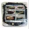 MISHIMA Nori Komi Furikake Seaweed Sesame Seed Seasoning 15.87 Ounce view 2