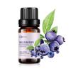 AOPING Blueberry Essential Oil - 100% Pure Organic Natural Plant (Cyanococcus) Blueberry Oil for Diffuser, Aroma, Spa, Massage, Yoga, Perfume, 0.33oz view 1