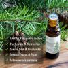 AOPING Douglas Fir Essential Oil - 100% Pure Organic Natural Plant (Pseudotsuga menziesii) Douglas Fir Oil for Diffuser, Aroma, Spa, Massage, Yoga, Perfume, 0.33oz view 3