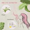 AOPING Vetiver Essential Oil - 100% Pure Organic Natural Plant (Vetiveria zizanoides) Vetiver Oil for Diffuser, Aroma, Massage, Perfume, 0.33oz view 2