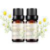 2-Pack Chamomile Essential Oil - 100% Pure Organic Natural Plant (Chamaemelum nobile) Chamomile Oil for Diffuser, Aroma, Spa, Massage, Yoga, Perfume, 2x10ML view 1