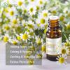 2-Pack Chamomile Essential Oil - 100% Pure Organic Natural Plant (Chamaemelum nobile) Chamomile Oil for Diffuser, Aroma, Spa, Massage, Yoga, Perfume, 2x10ML view 3