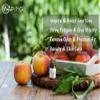 AOPING Peach Essential Oil - 100% Pure Organic Natural Plant (Prunus persica) Peach Oil for Diffuser, Aroma, Spa, Massage, Yoga, Perfume, 0.33oz view 3