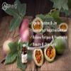 AOPING Passion Fruit Essential Oil - 100% Pure Organic Natural Plant (Passiflora edulis) Passion Fruit Oil for Diffuser, Aroma, Spa, Massage, Yoga, Perfume, 0.33oz view 3