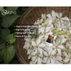 AOPING Gardenia Essential Oil - 100% Pure Organic Natural Plant (Gardenia jasminoides) Gardenia Oil for Diffuser, Aroma, Spa, Massage, Yoga, Perfume, 0.33oz view 2