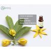 AOPING Ylang Ylang Essential Oil - 100% Pure Organic Natural Plant (Cananga odorata) Ylang Ylang Oil for Diffuser, Aroma, Spa, Massage, Yoga, Perfume, 0.33oz view 2