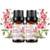 2-Pack Rose Essential Oil - 100% Pure Organic Natural Plant (Rosa damascena) Rose Oil for Diffuser, Aroma, Spa, Massage, Yoga, Perfume, 2x10ML view 1