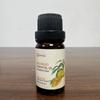 2-Pack Mango Essential Oil - 100% Pure Organic Natural Plant (Mangifera Indica) Mango Oil for Diffuser, Aroma, Spa, Massage, Yoga, Perfume, 2x10ML view 3