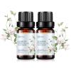 2-Pack Jasmine Essential Oil - 100% Pure Organic Natural Plant (Jasmium Officinale) Jasmine Oil for Diffuser, Aroma, Spa, Massage, Yoga, Perfume, 2x10ML view 1
