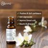 2-Pack Jasmine Essential Oil - 100% Pure Organic Natural Plant (Jasmium Officinale) Jasmine Oil for Diffuser, Aroma, Spa, Massage, Yoga, Perfume, 2x10ML view 3