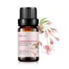 AOPING Cherry Blossom Essential Oil - 100% Pure Organic Natural Plant (Prunus serrulata) Cherry Blossom Oil for Diffuser, Aroma, Spa, Massage, Yoga, Perfume, 0.33oz view 1