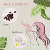 AOPING Coffee Essential Oil - 100% Pure Organic Natural Plant (Coffea Arabica) Coffee Oil for Diffuser, Aroma, Spa, Massage, Yoga, Perfume, 0.33oz view 2