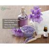 AOPING Violet Essential Oil - 100% Pure Organic Natural Plant (Viola odorata) Violet Oil for Diffuser, Aroma, Spa, Massage, Yoga, Perfume, 0.33oz view 2