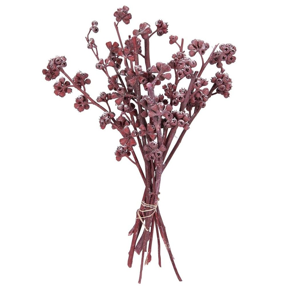 Vickerman 681480-13"x1-3" Red Gum Red Frosted 14Pc Bunch (H1RGM475) Dried and Preserved Branches