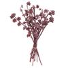 Vickerman 681480-13"x1-3" Red Gum Red Frosted 14Pc Bunch (H1RGM475) Dried and Preserved Branches view 1