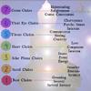 Bea's Chakra Balance Tea Blend view 3