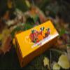 Variations of Nature Awards Fruit Leather (lavashak for USA) (Multiple, 20 Pieces) view 4