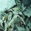 200g / 7 0z FIG Leaf Cut Leaves Detox FICUS CARICA Dried HERB Organic Tea view 1