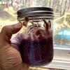 Purple Gold Irish Sea Moss Thick, wildcrafted 2oz Origin: Jamaica view 4
