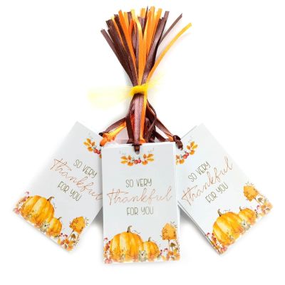 So Very Thankful For You Favor Tags by Adore By Nat - Thanksgiving Wedding Fall Autumn Party Gift Tags - Set of 24